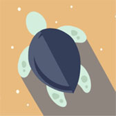Marine Debris Tracker App