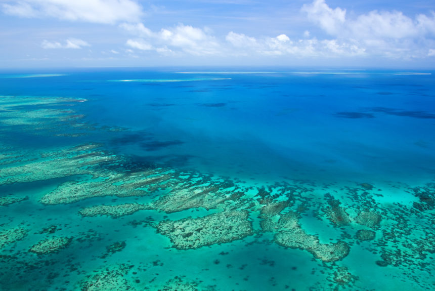 Remote Areas of Ocean Off Australia Are Found to Have Large Volume of Plastics Sitting on Seafloor Remote Areas of Ocean Off Australia Are Found to Have Large Volume of Plastics Sitting on Seafloor