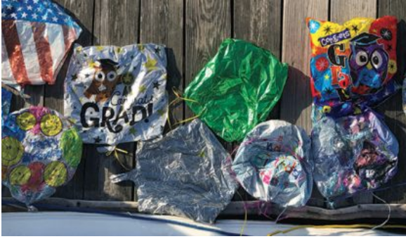 WindCheck Shares All Hands Alliance Message to Help Clean Up Oceans WindCheck Shares All Hands Alliance Message to Help Clean Up Oceans